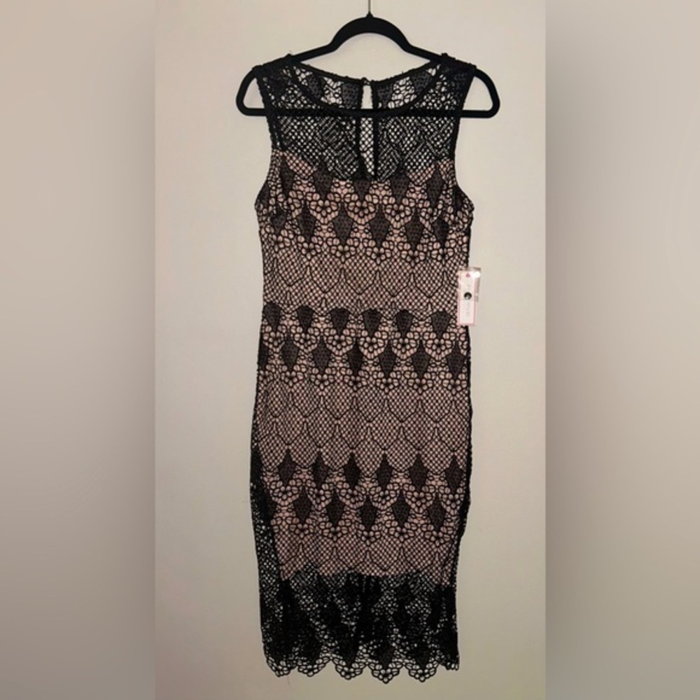 Bisou Bisou Black Lace Whimsygoth Dress Nude Lining Romantic Feminine 10